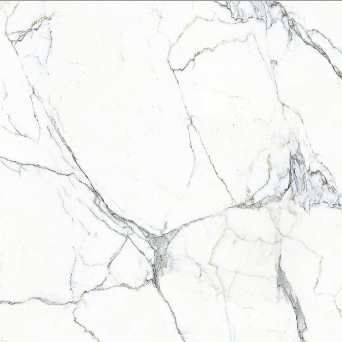 DECOGRESS 60X60 ARABESCATO GRIGIO